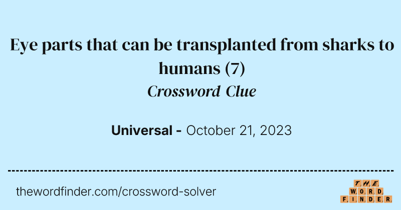 Eye parts that can be transplanted from sharks to humans crossword clue image