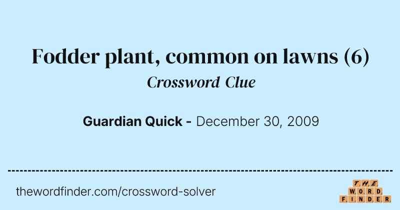 Fodder plant, common on lawns crossword clue image