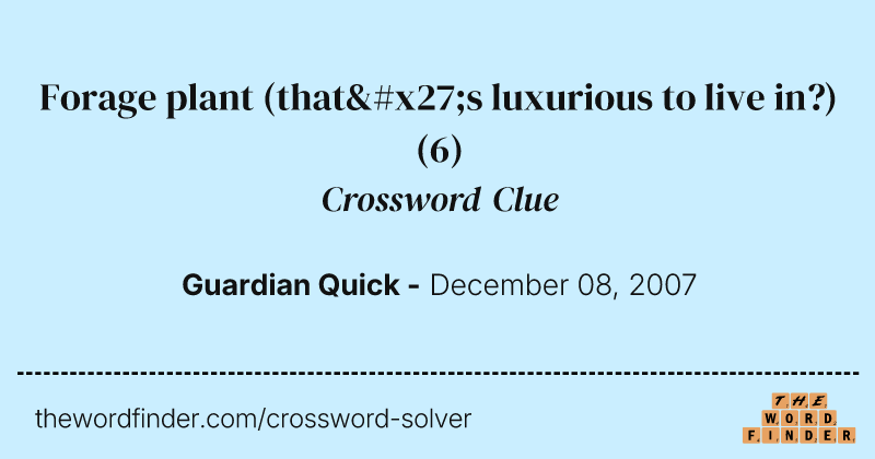 Forage plant (that's luxurious to live in?) crossword clue image