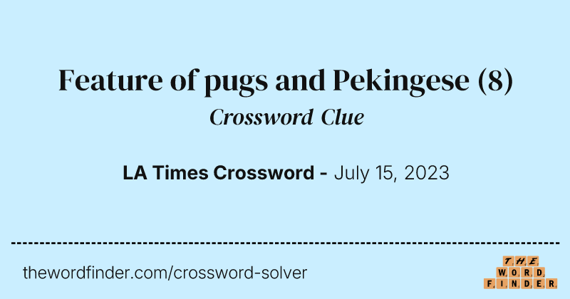 Feature of pugs and Pekingese crossword clue image