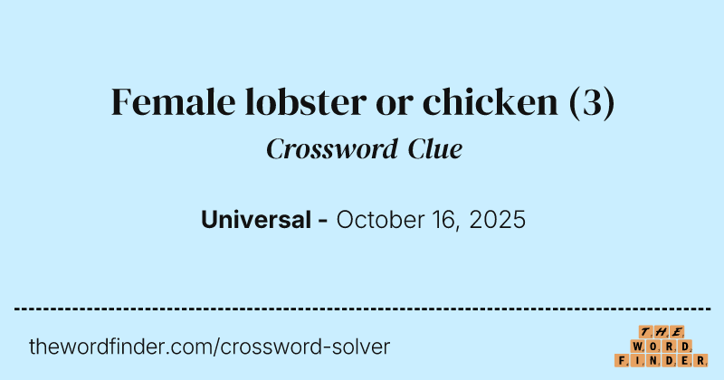 Female lobster or chicken crossword clue image