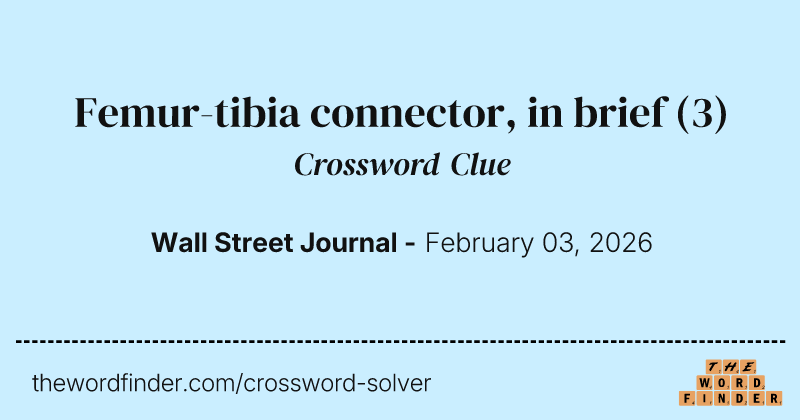 Femur-tibia connector, in brief crossword clue image
