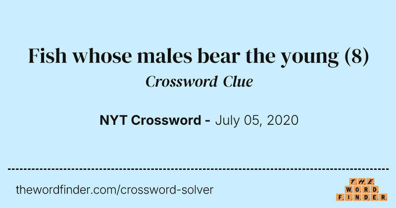 Fish whose males bear the young crossword clue image