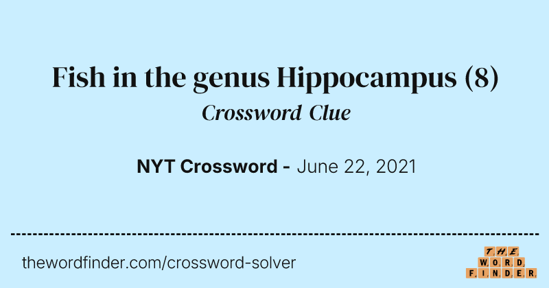 Fish in the genus Hippocampus crossword clue image