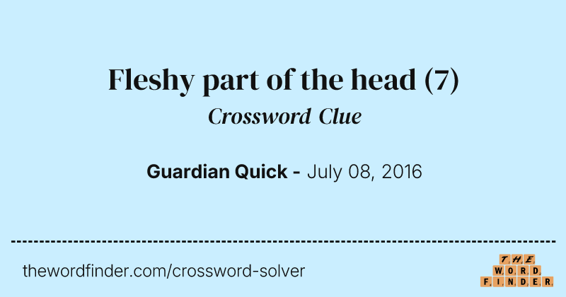 Fleshy part of the head crossword clue image