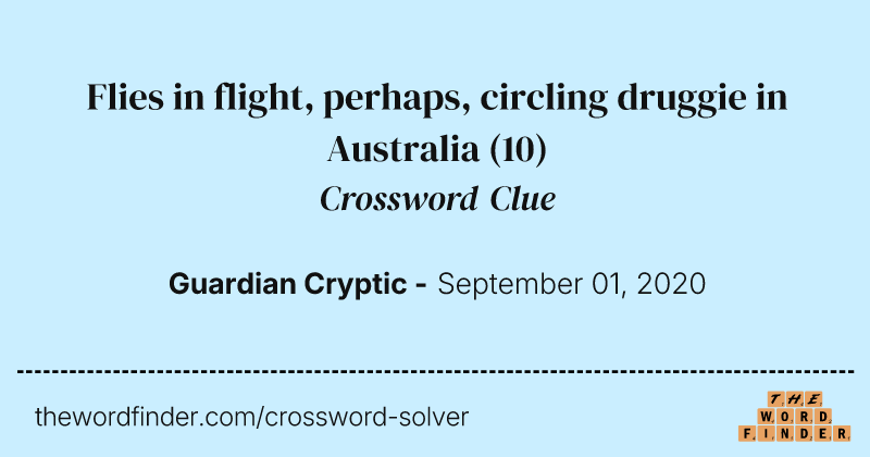Flies in flight, perhaps, circling druggie in Australia crossword clue image