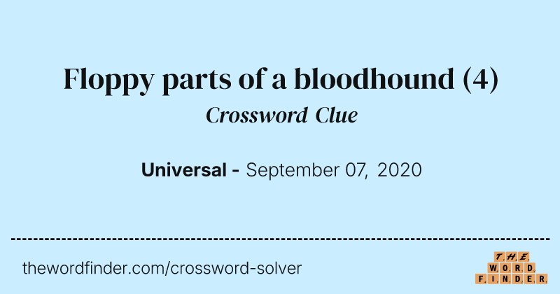 Floppy parts of a bloodhound crossword clue image