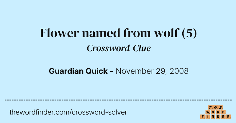 Flower named from wolf crossword clue image