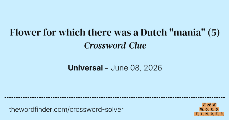 Flower for which there was a Dutch "mania" crossword clue image