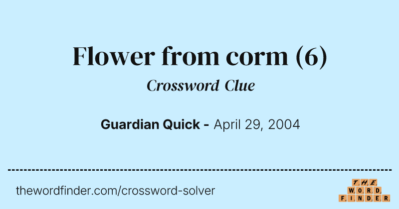 Flower from corm crossword clue image