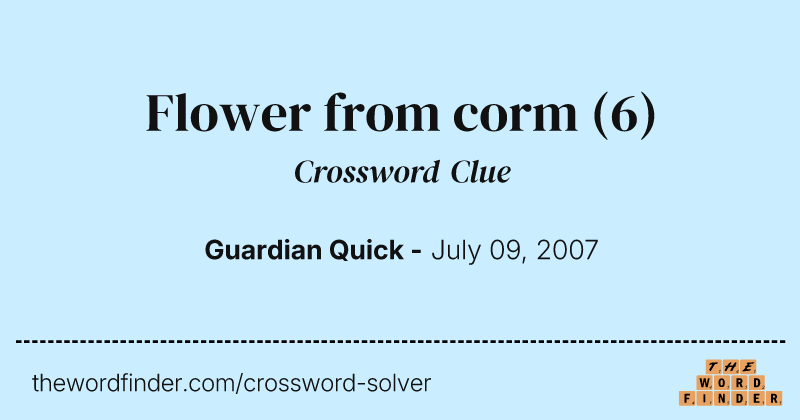 Flower from corm crossword clue image