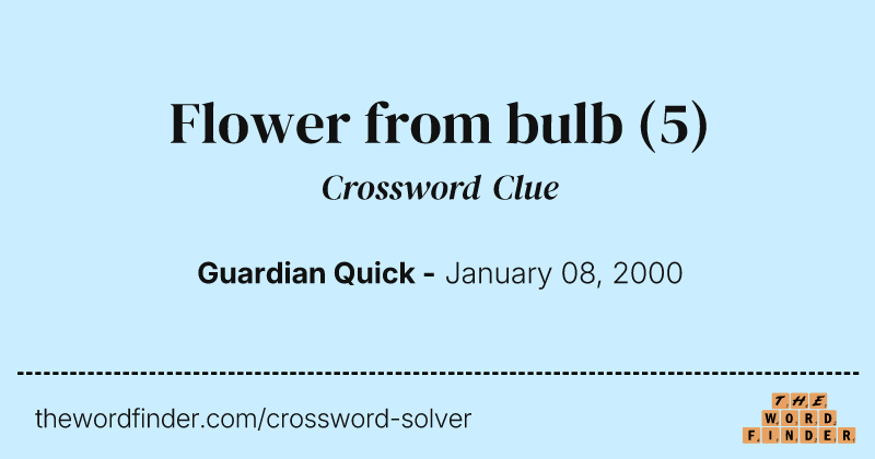 Flower from bulb crossword clue image