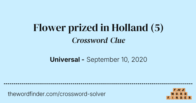 Flower prized in Holland crossword clue image