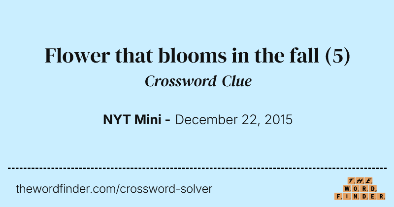 Flower that blooms in the fall crossword clue image