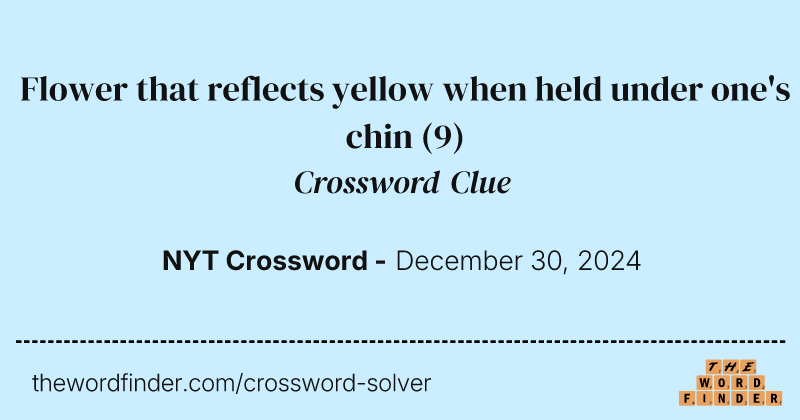 Flower that reflects yellow when held under one's chin crossword clue image