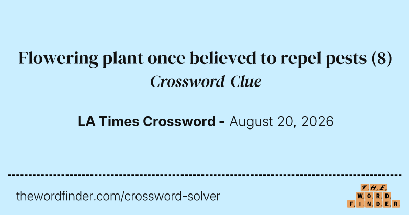 Flowering plant once believed to repel pests crossword clue image