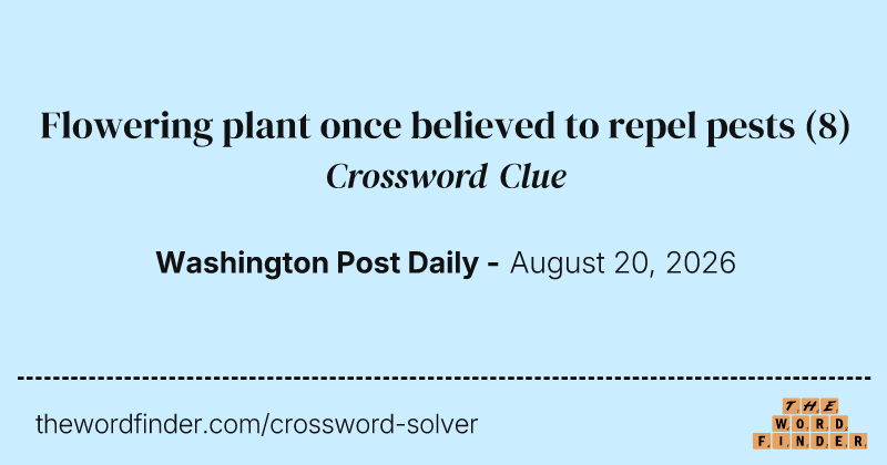 Flowering plant once believed to repel pests crossword clue image