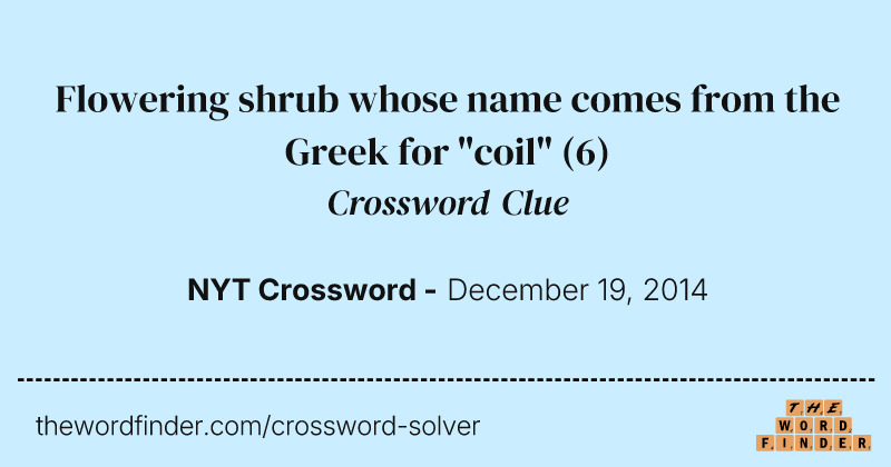 Flowering shrub whose name comes from the Greek for "coil" crossword clue image