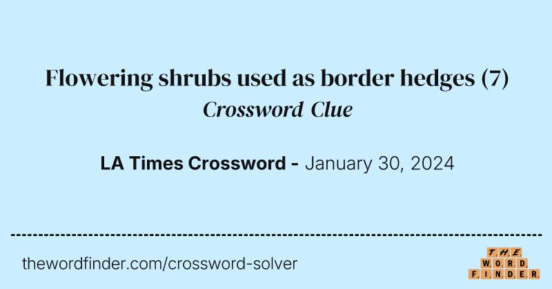 Flowering shrubs used as border hedges crossword clue image