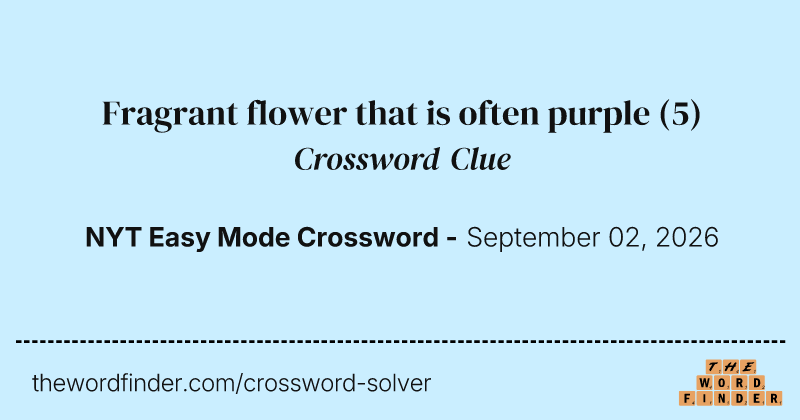Fragrant flower that is often purple crossword clue image