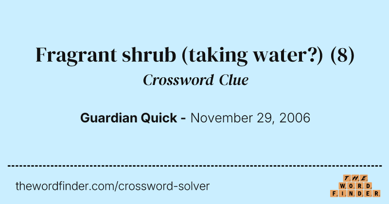 Fragrant shrub (taking water?) crossword clue image