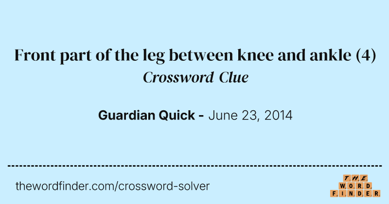 Front part of the leg between knee and ankle crossword clue image