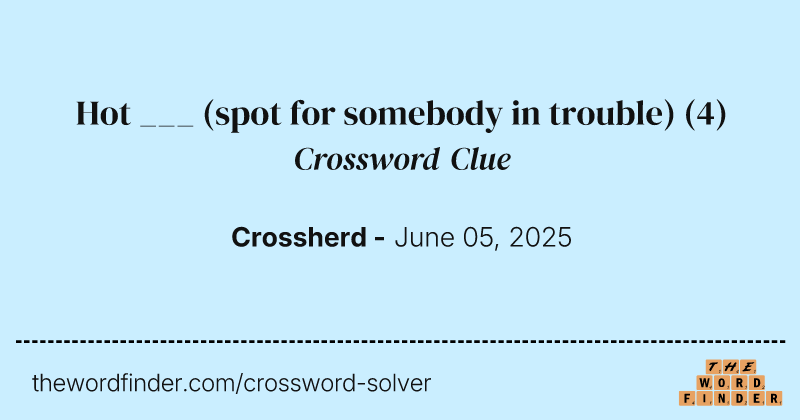 Hot ___ (spot for somebody in trouble) crossword clue image
