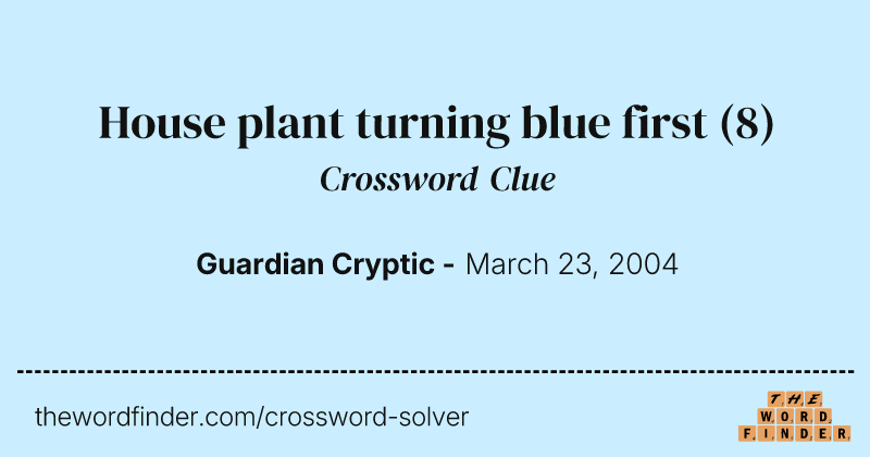 House plant turning blue first crossword clue image