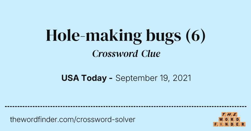 Hole-making bugs crossword clue image