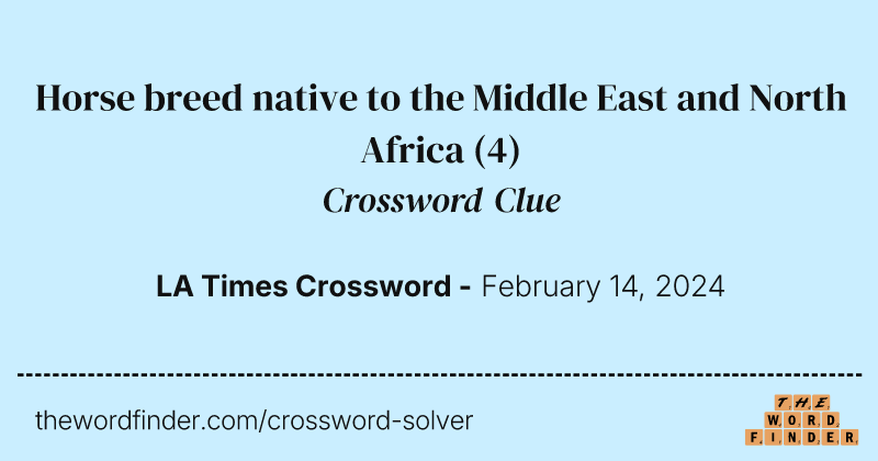 Horse breed native to the Middle East and North Africa crossword clue image