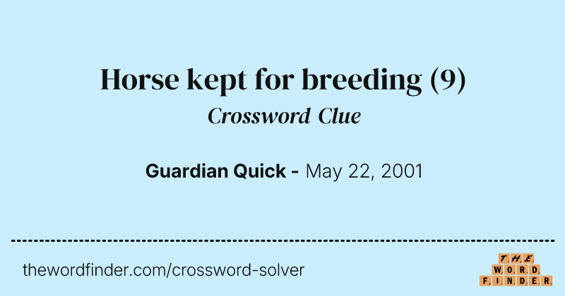 Horse kept for breeding crossword clue image