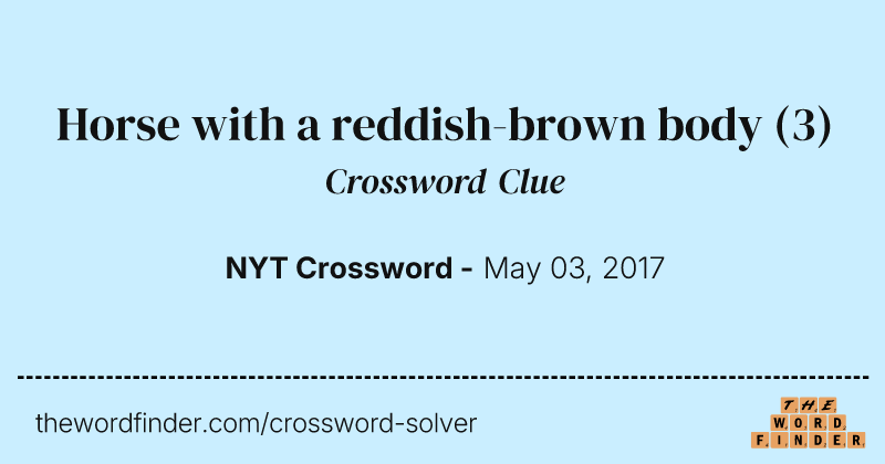 Horse with a reddish-brown body crossword clue image