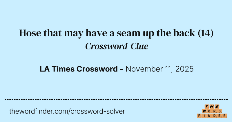 Hose that may have a seam up the back crossword clue image