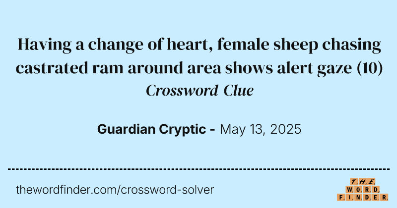 Having a change of heart, female sheep chasing castrated ram around area shows alert gaze crossword clue image