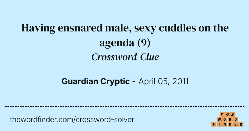 Having ensnared male, sexy cuddles on the agenda crossword clue image