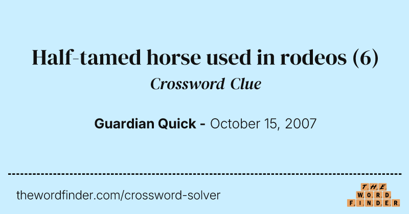 Half-tamed horse used in rodeos crossword clue image