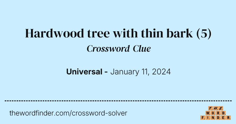 Hardwood tree with thin bark crossword clue image