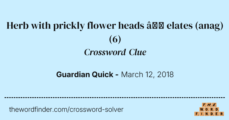 Herb with prickly flower heads — elates (anag) crossword clue image