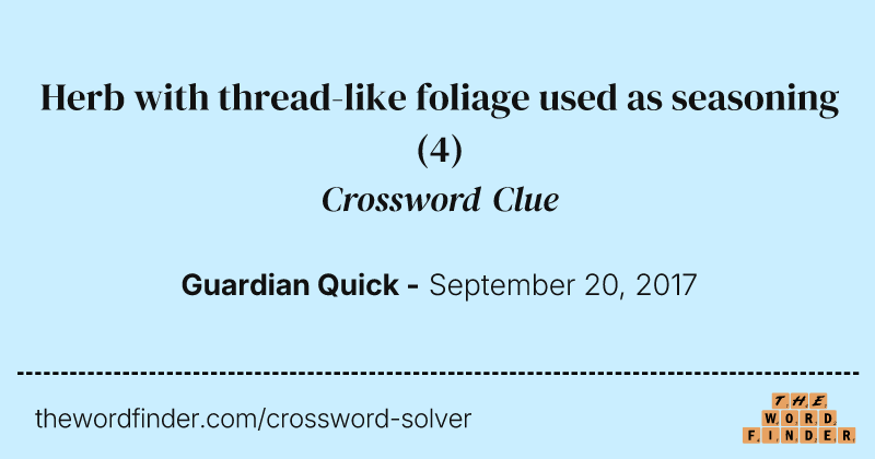 Herb with thread-like foliage used as seasoning crossword clue image