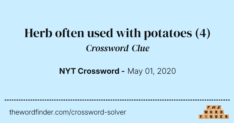 Herb often used with potatoes crossword clue image