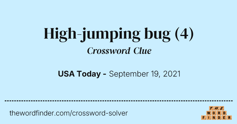High-jumping bug crossword clue image