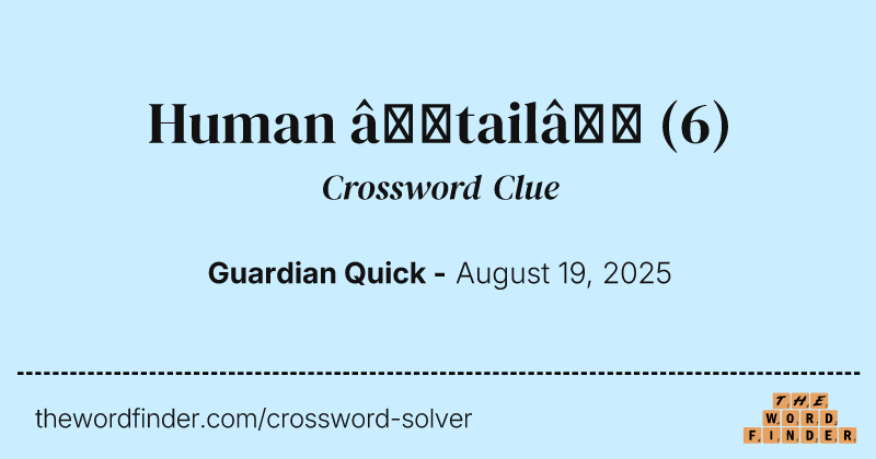 Human ‘tail’ crossword clue image