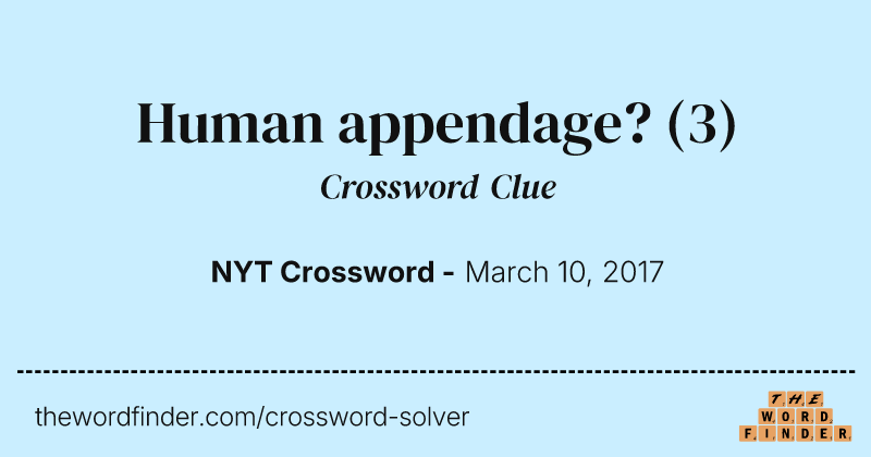Human appendage? crossword clue image