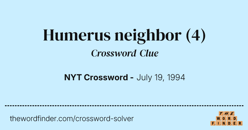 Humerus neighbor crossword clue image