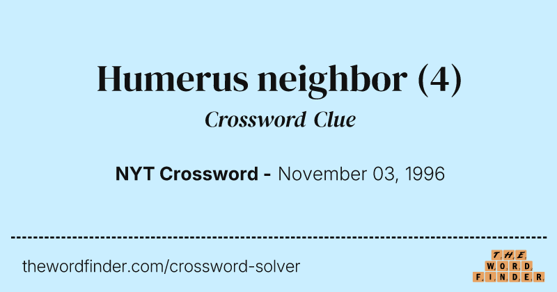 Humerus neighbor crossword clue image