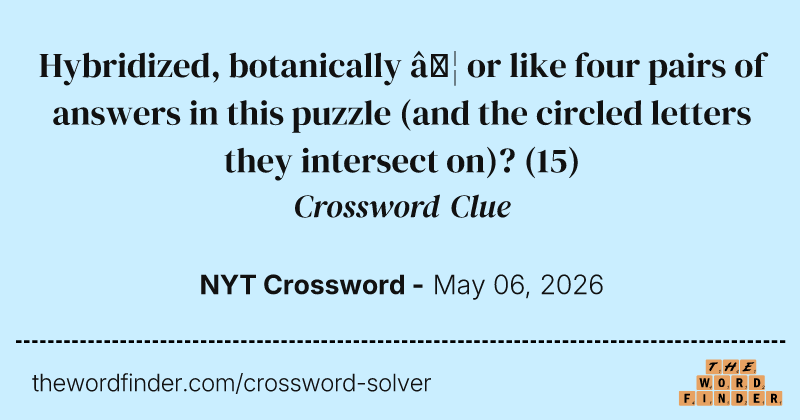 Hybridized, botanically … or like four pairs of answers in this puzzle (and the circled letters they intersect on)? crossword clue image