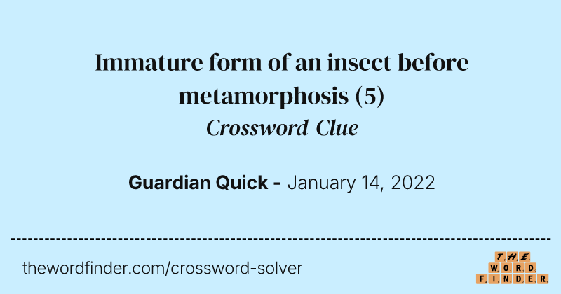Immature form of an insect before metamorphosis crossword clue image