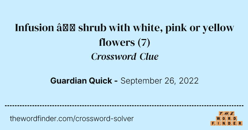 Infusion — shrub with white, pink or yellow flowers crossword clue image