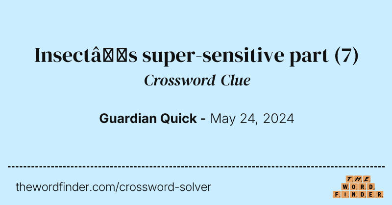 Insect’s super-sensitive part crossword clue image