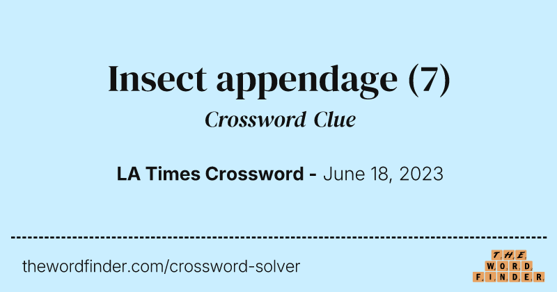 Insect appendage crossword clue image